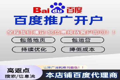 SEM主管实战案例：广告投放策略优化